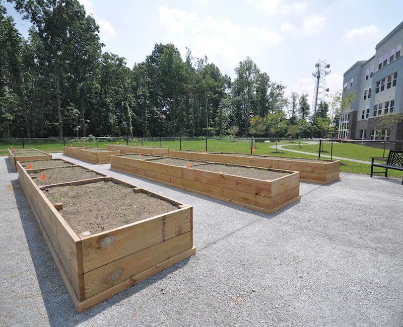 Commons at Madeline Park