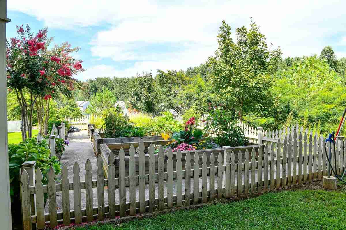 yard and fence