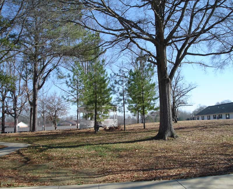 McKendree Oaks at Savannah