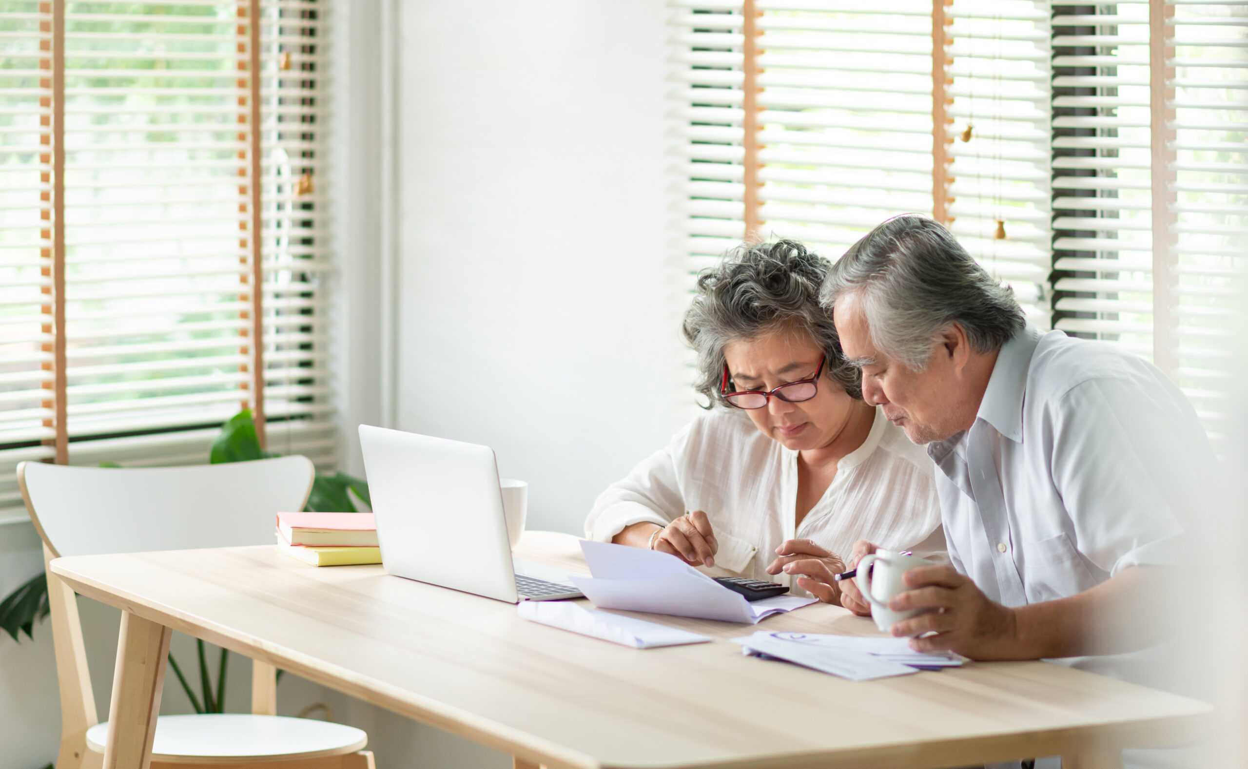 Senior couple planning their living wills together