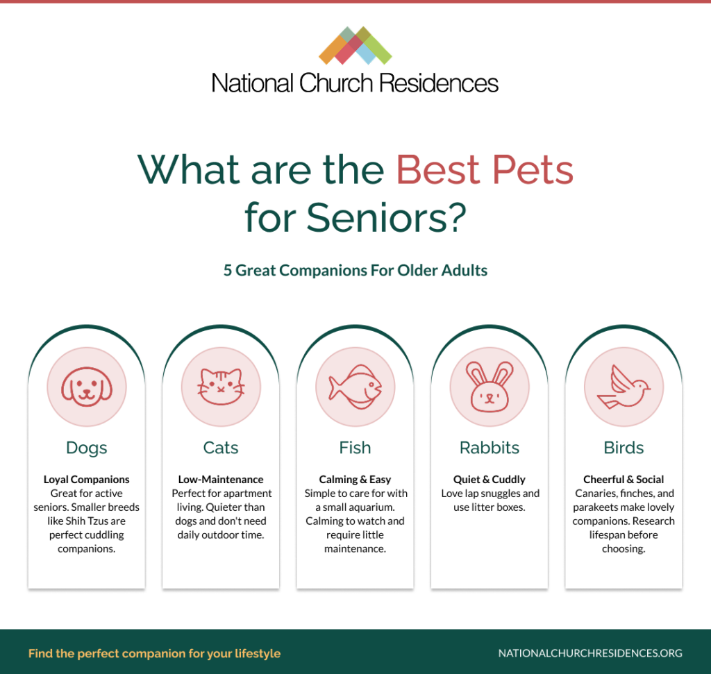 Best pets for seniors: dogs, cats, fish, rabbits and birds as companion animals for older adults
