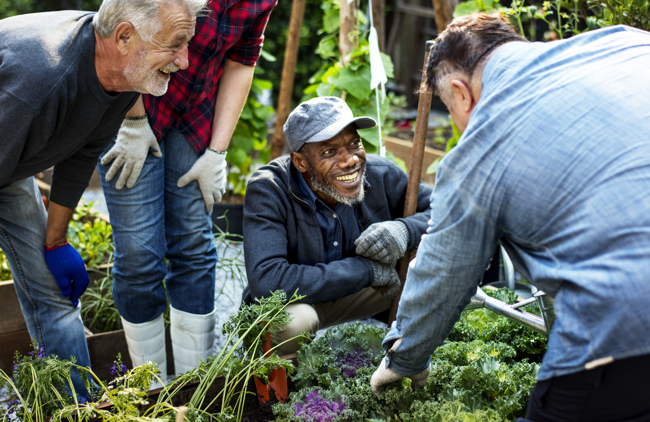 A group of senior men tending to a garden – one of the senior living amenities in their community.