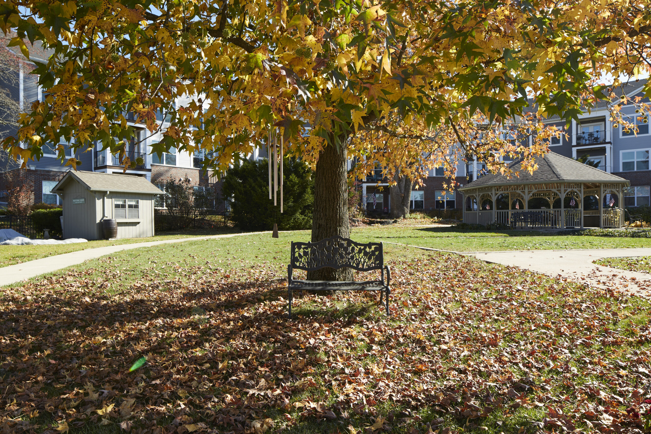 Outdoor park area with a gazebo bench and autumn trees