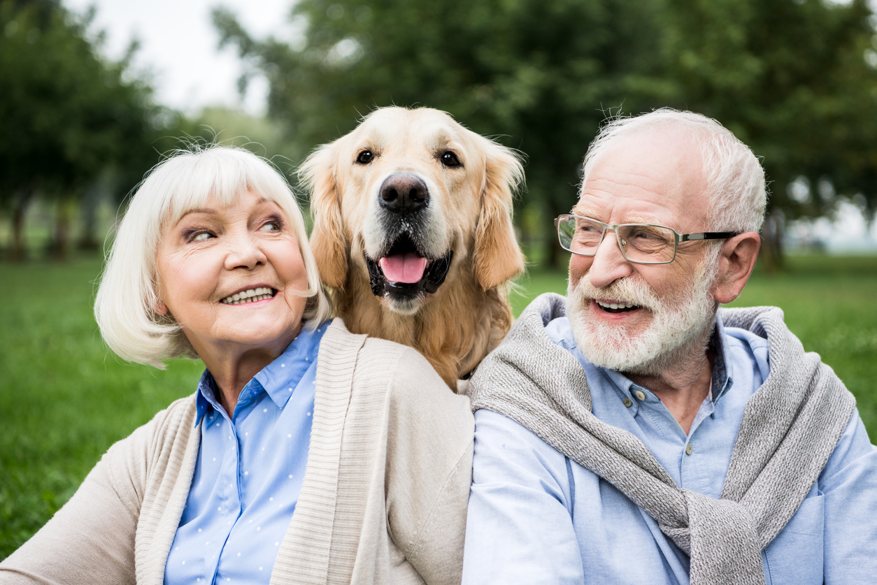 smiling senior couple looking at adorable dog while resting in park