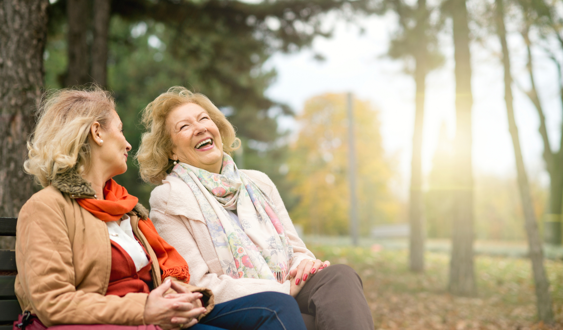 Seniors laughing on bench