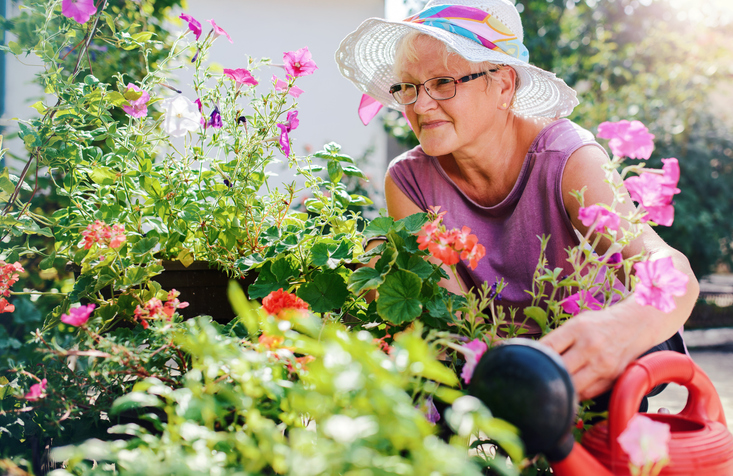 Senior woman in a sun hat tending to colorful flowers in a garden