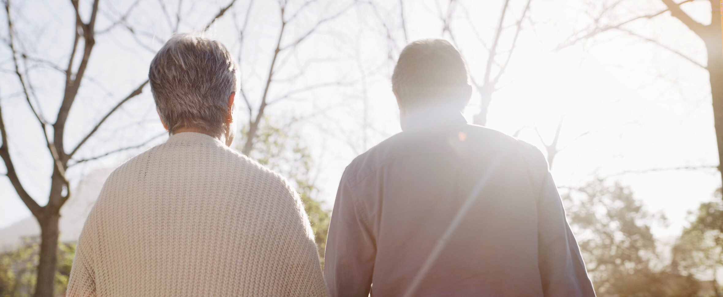 Senior couple walking away from the camera into a bright, sunny park