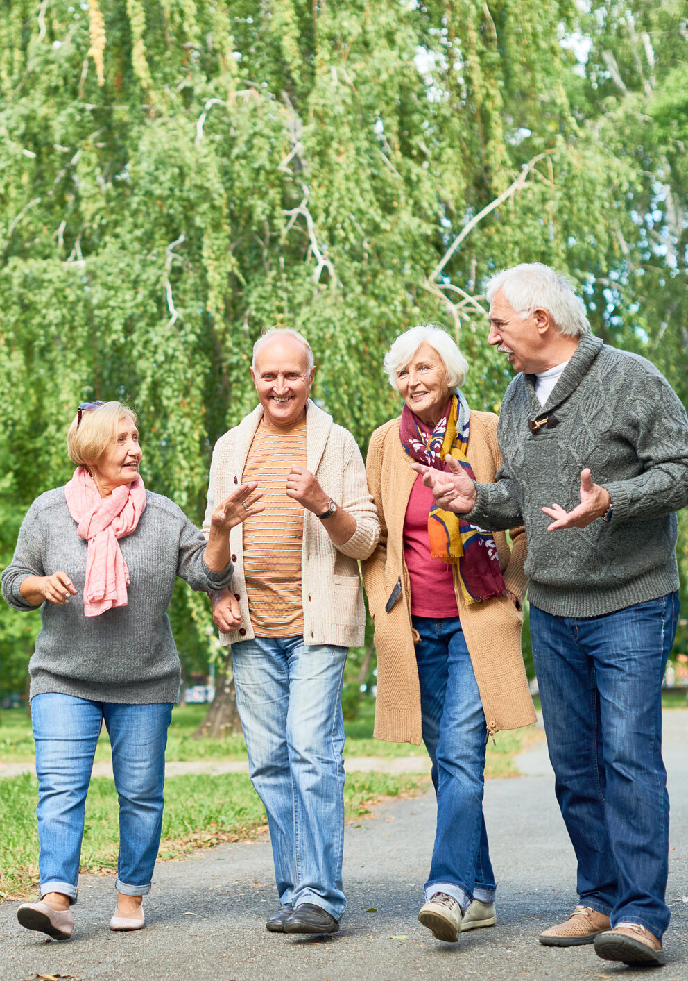 Joyful group of senior friends wearing warm clothes walking along park alley and chatting animatedly with each other, picturesque view on background
