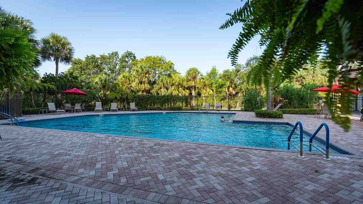 Outdoor swimming pool surrounded by palm trees