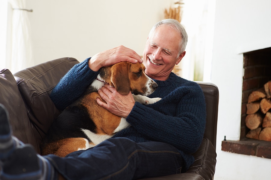 Older man sitting comfortably in a chair in senior living community, gently petting and enjoying quality time with his small dog, illustrating the companionship benefits of pet ownership for seniors